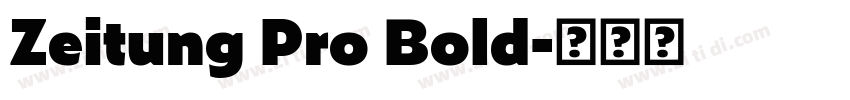 Zeitung Pro Bold字体转换